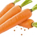 Морковь драже